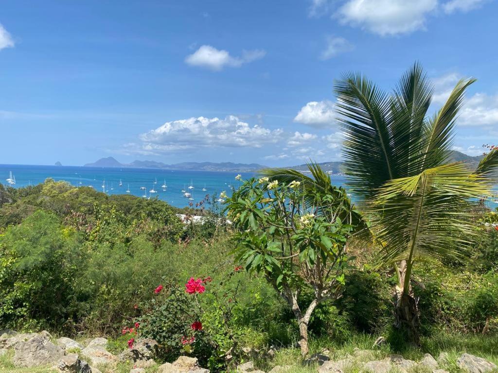 Superbe Appartement Vue Sur Mer Sainte-Anne Kültér fotó